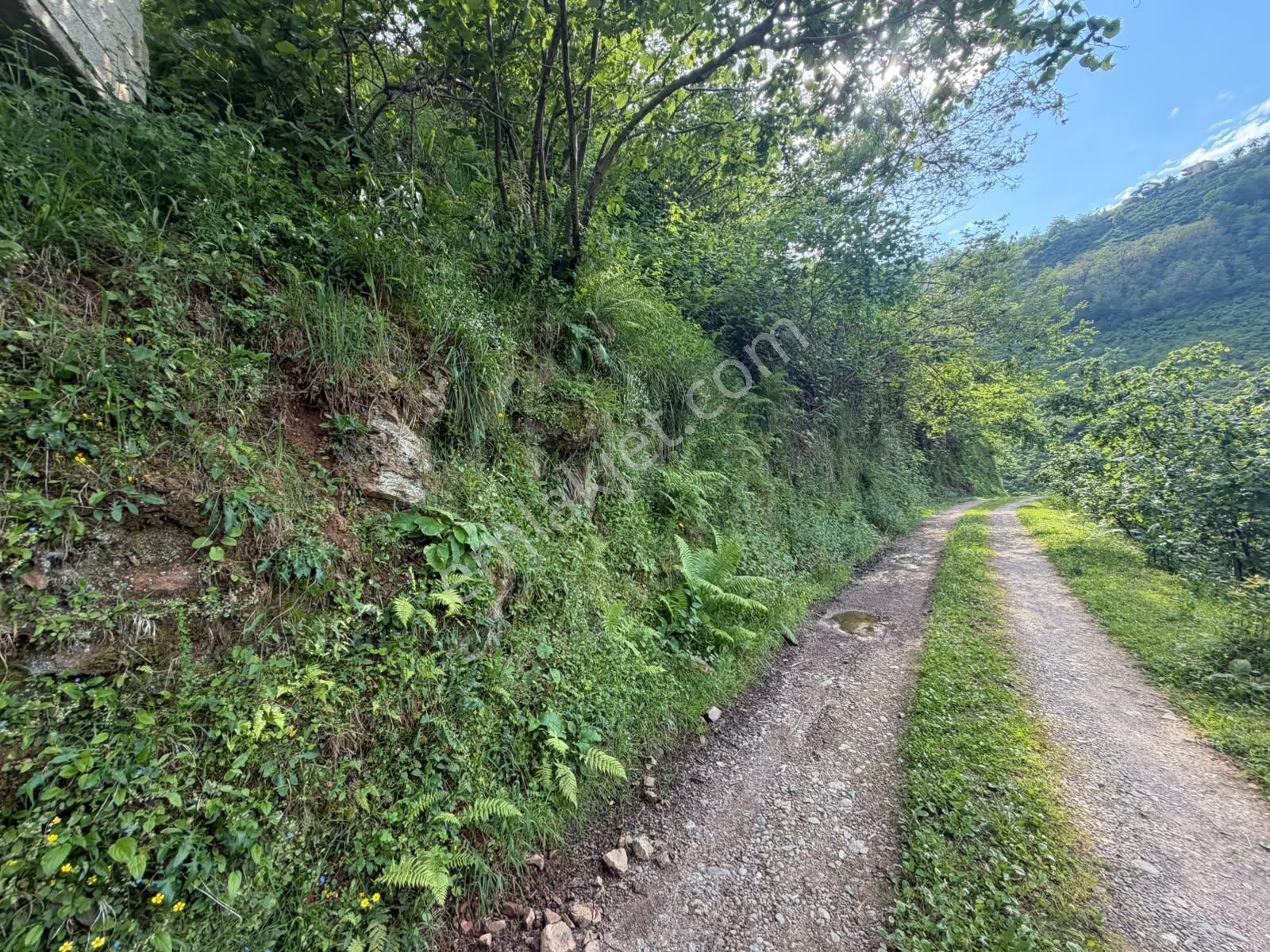 Delta Gayrimenkul'den Giresun Merkez Ülper'de Satılık Arsa - Görsel 30