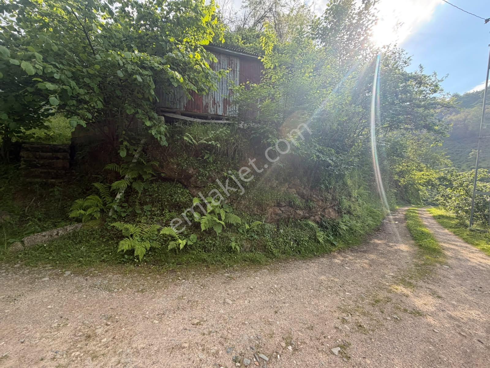 Delta Gayrimenkul'den Giresun Merkez Ülper'de Satılık Arsa - Görsel 22