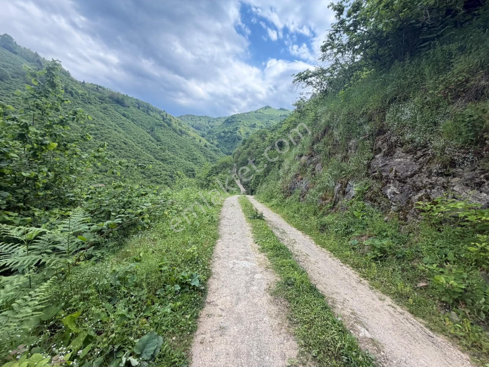 Delta Gayrimenkul'den Giresun Merkez Ülper'de Satılık Arsa - Görsel 32
