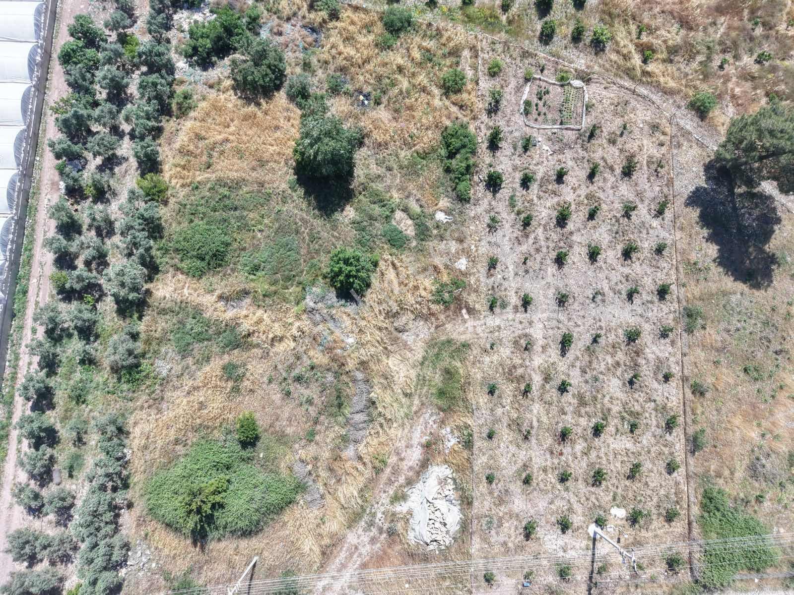 Bmk'dan Adrasan'da 2730 M2 Satılık Tarla - Görsel 23