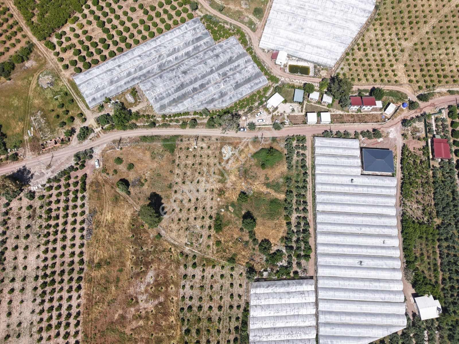 Bmk'dan Adrasan'da 2730 M2 Satılık Tarla - Görsel 6