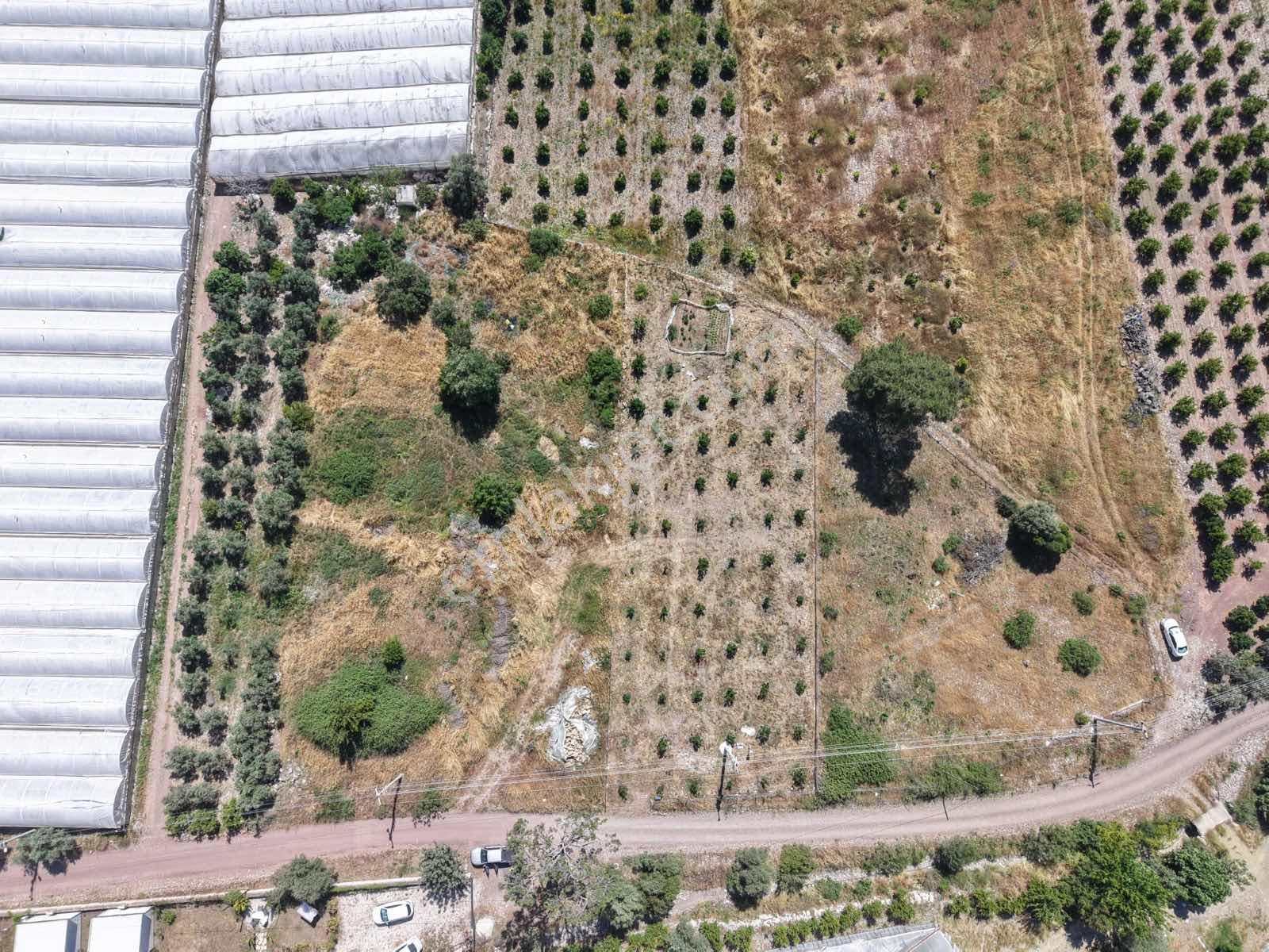 Bmk'dan Adrasan'da 2730 M2 Satılık Tarla - Görsel 20