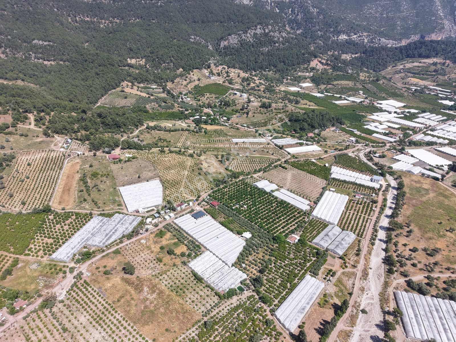 Bmk'dan Adrasan'da 2730 M2 Satılık Tarla - Görsel 26