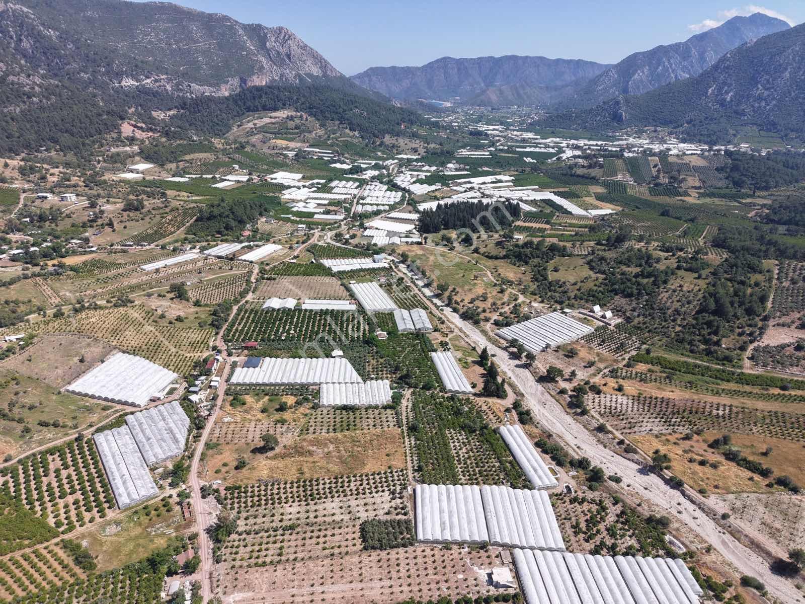 Bmk'dan Adrasan'da 2730 M2 Satılık Tarla - Görsel 33