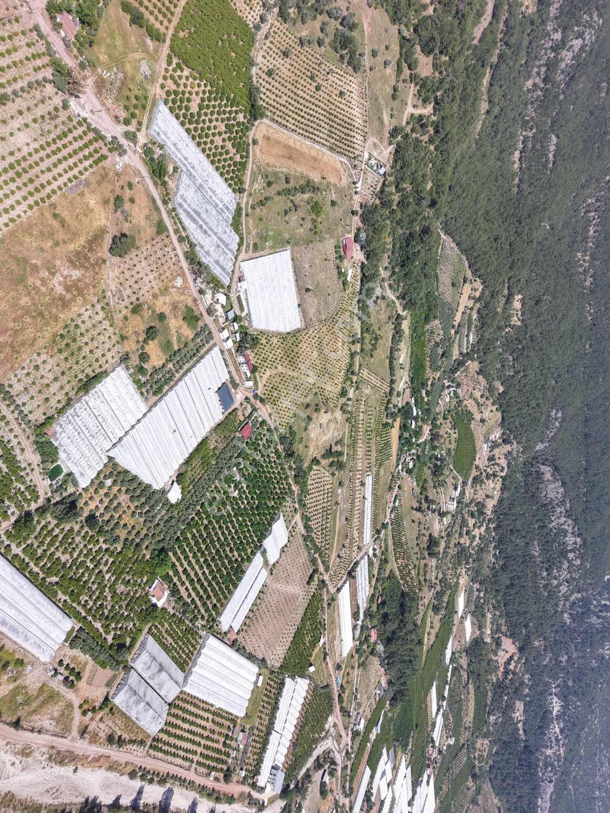 Bmk'dan Adrasan'da 2730 M2 Satılık Tarla - Görsel 12