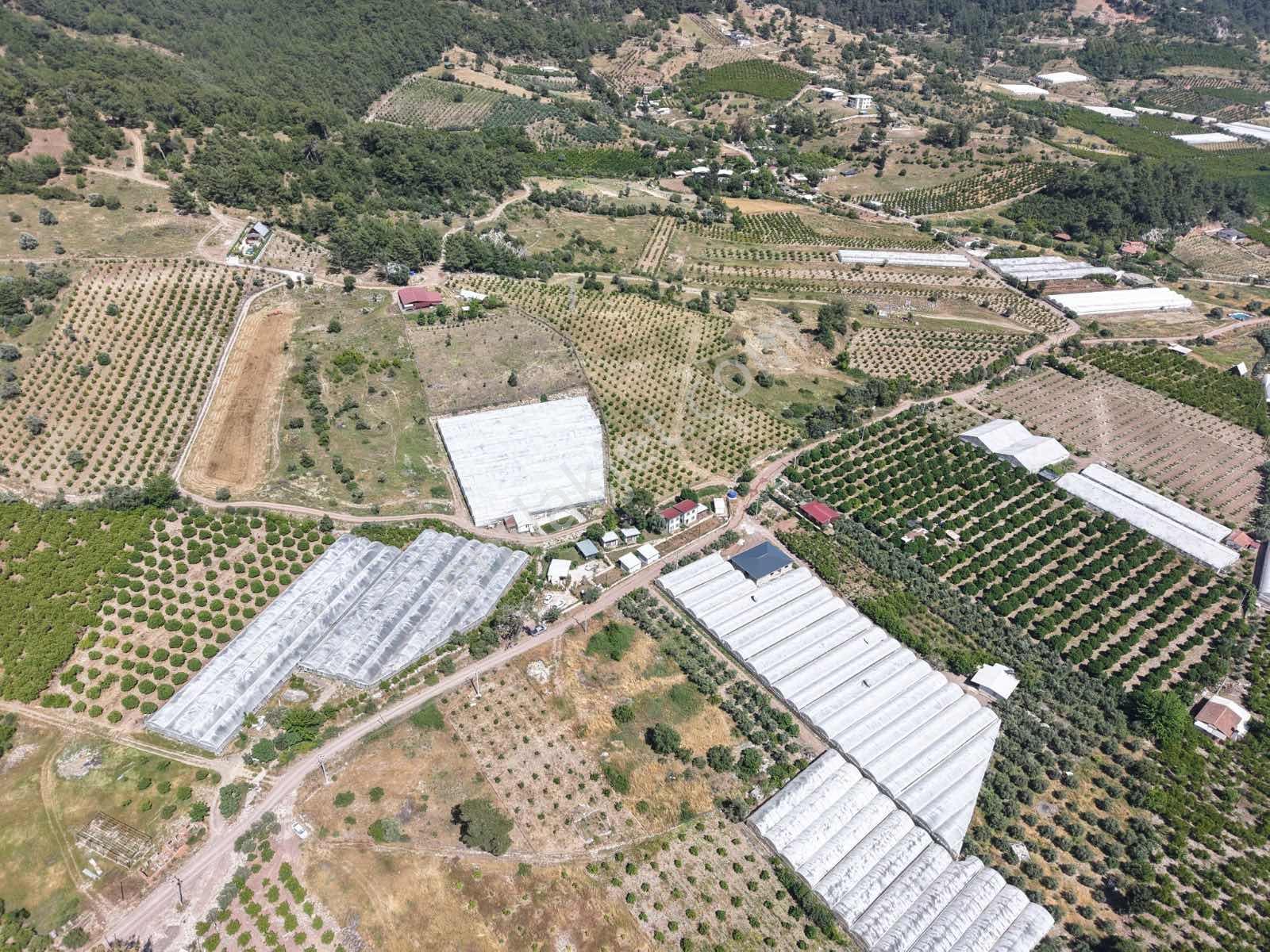 Bmk'dan Adrasan'da 2730 M2 Satılık Tarla - Görsel 11