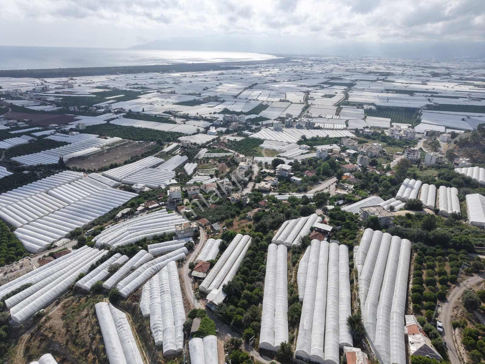 Bmk'dan Adrasan'da 2730 M2 Satılık Tarla - Görsel 30