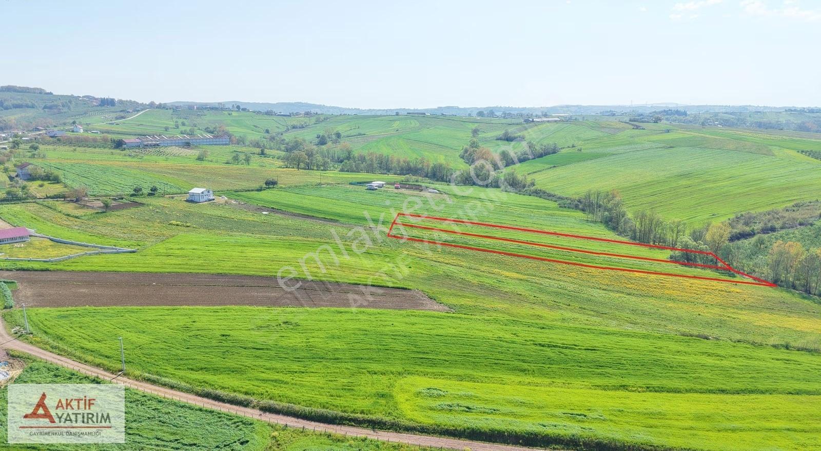 Kandıra Hacışeyh 'de Yerleşime Yakın 3830 M² Fırsat - Görsel 11