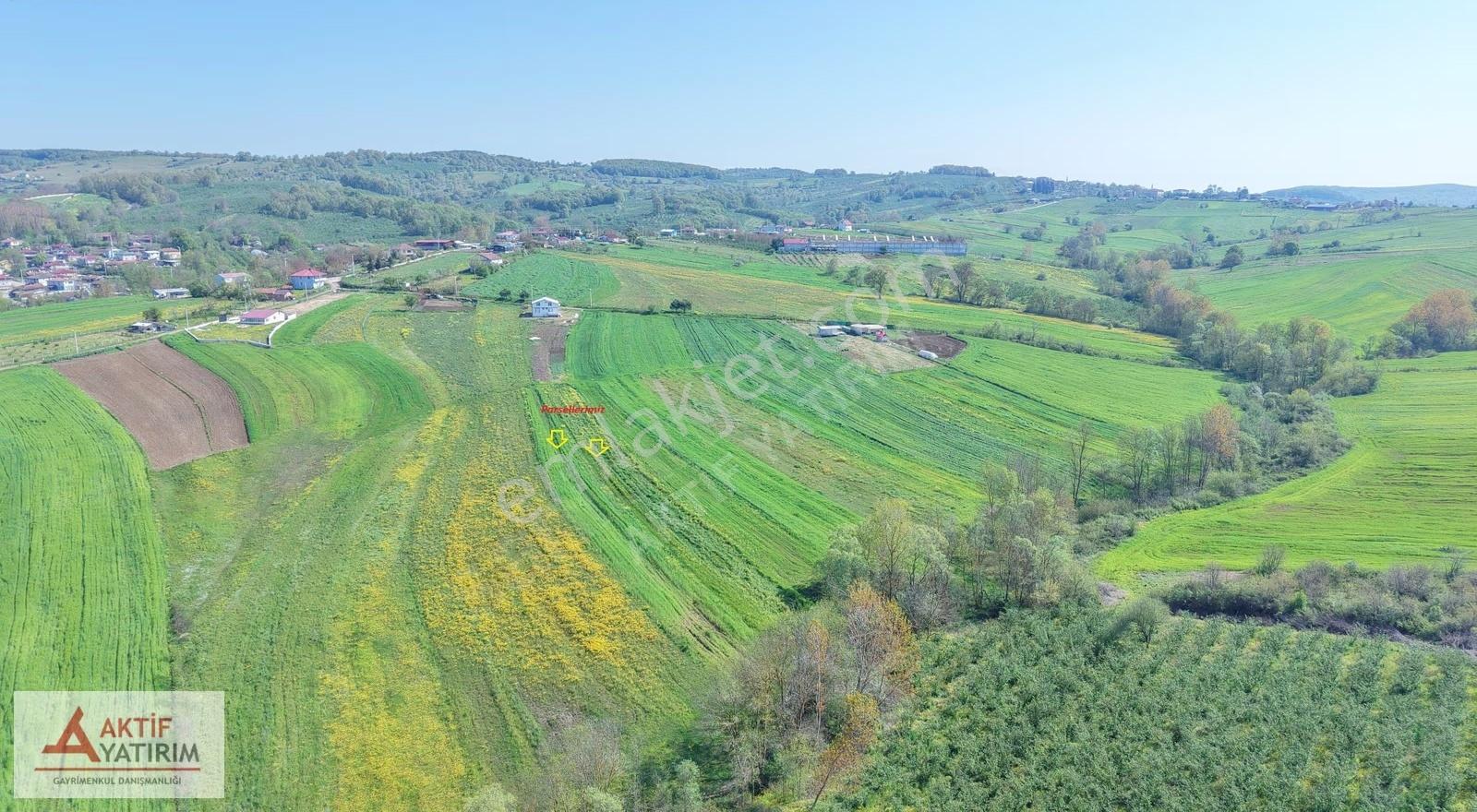Kandıra Hacışeyh 'de Yerleşime Yakın 3830 M² Fırsat - Görsel 17