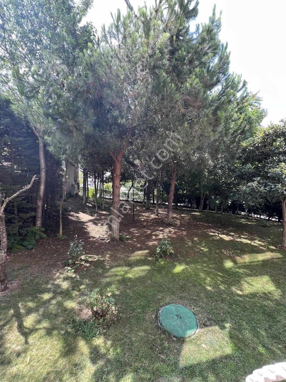 Atakent-3 Etapta Satılık 3+1 Daire 110 M. - Görsel 17