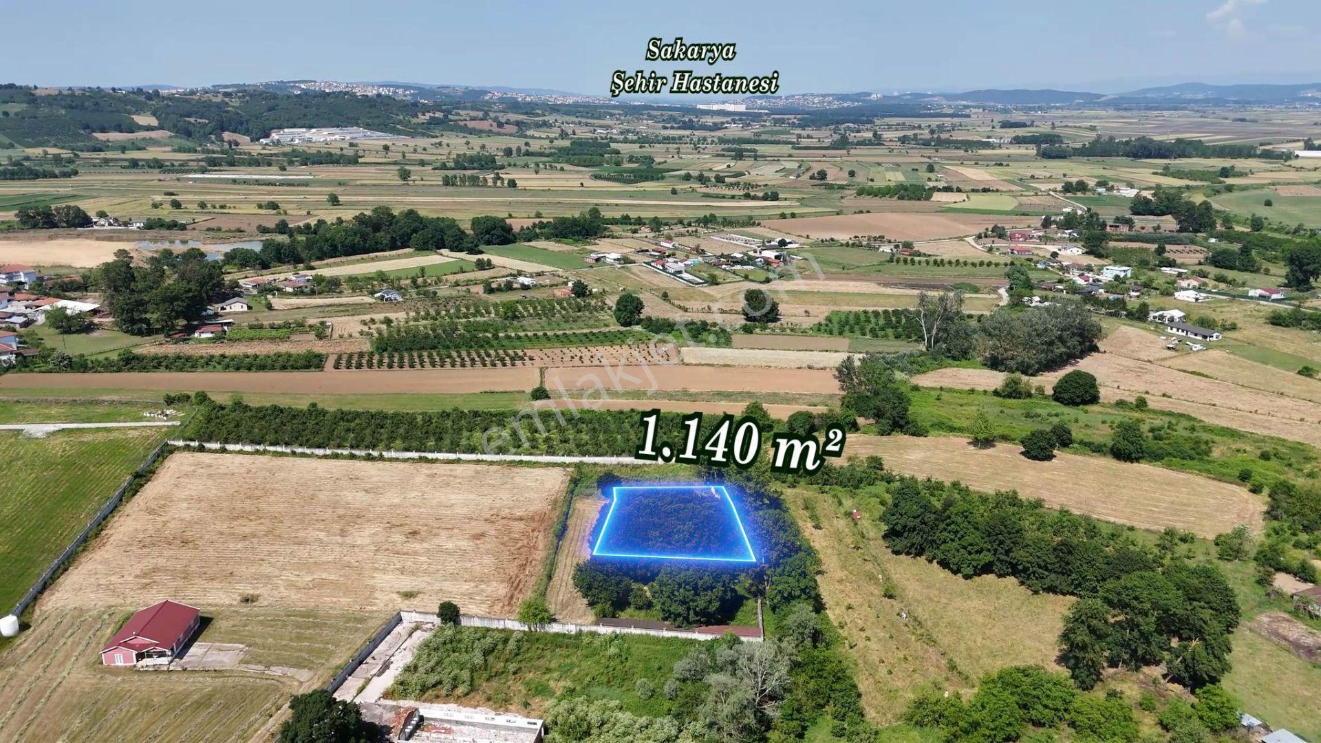 Remax Mavi'den Adapazarı Mahmudiy'de 1140 M2 Satılık Tarla - Görsel 6