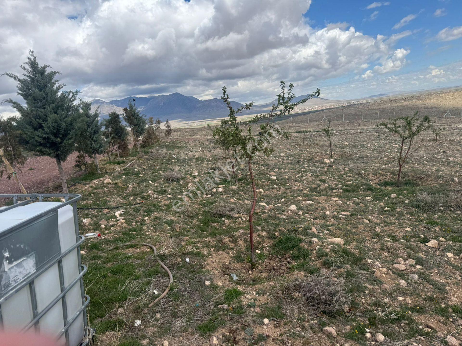 Kılbasan'da Karamana 13 Km Uzaklıkta 8150m2 Satılık Hobi Bahçesi - Görsel 12