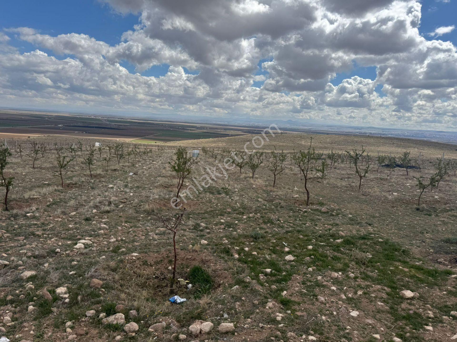 Kılbasan'da Karamana 13 Km Uzaklıkta 8150m2 Satılık Hobi Bahçesi - Görsel 13