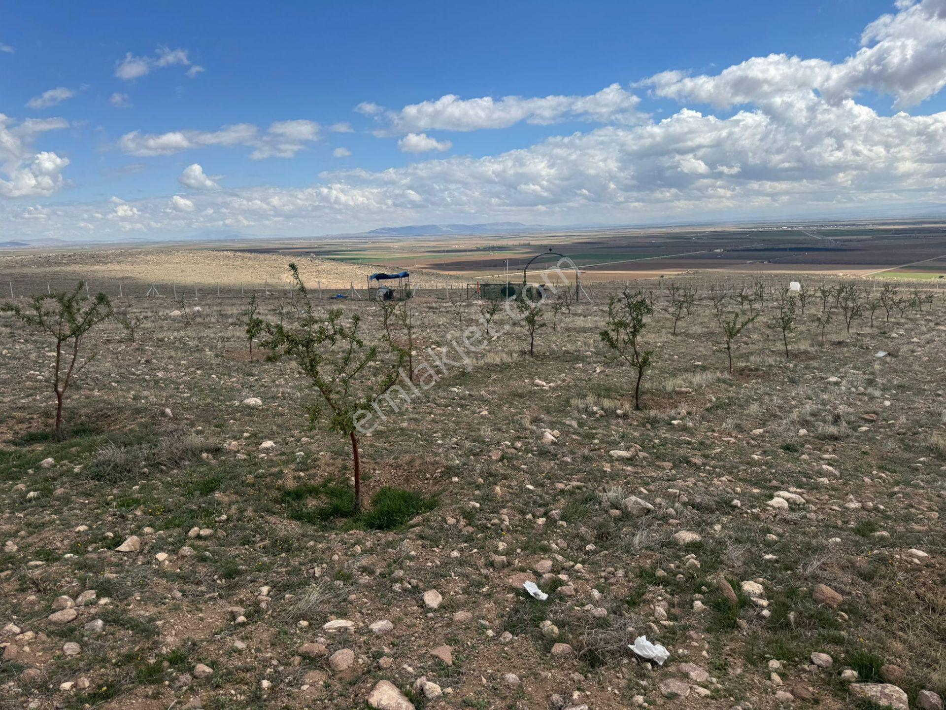 Kılbasan'da Karamana 13 Km Uzaklıkta 8150m2 Satılık Hobi Bahçesi - Görsel 11