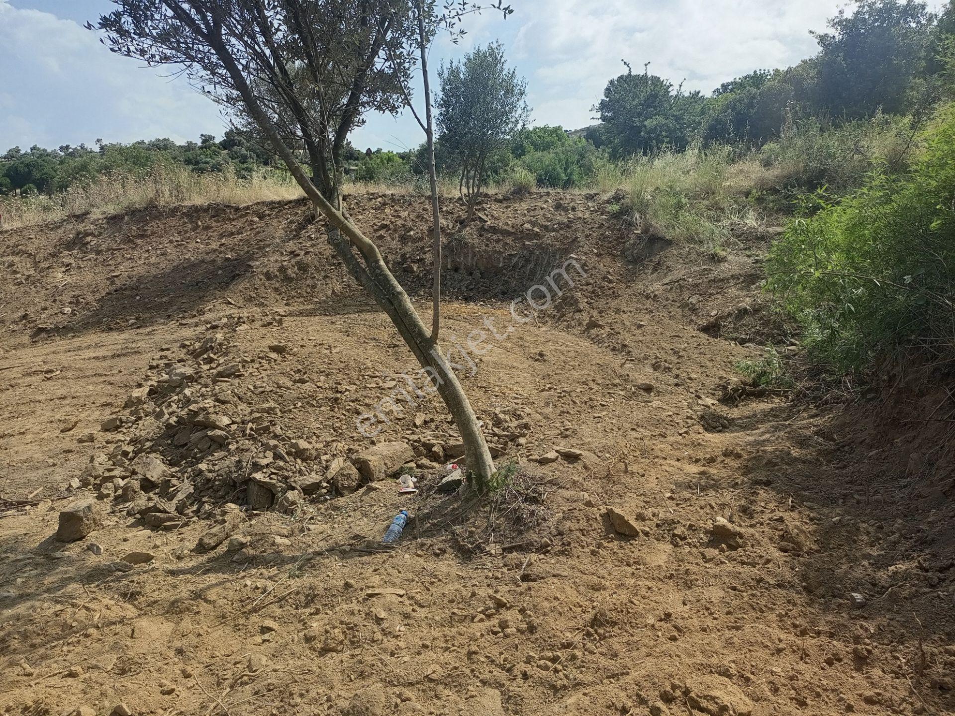 Yatırımiçin!!! Bayındır Furunlu Köyiçi Konut Yapımına Uygun 428m2 Arsamız Satılıktır - Görsel 8