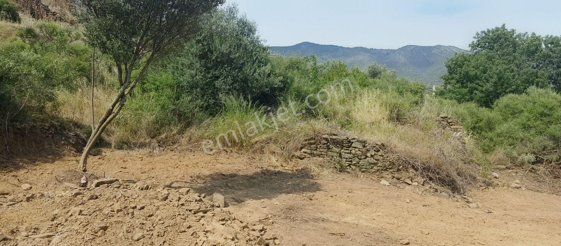 Yatırımiçin!!! Bayındır Furunlu Köyiçi Konut Yapımına Uygun 428m2 Arsamız Satılıktır - Görsel 11