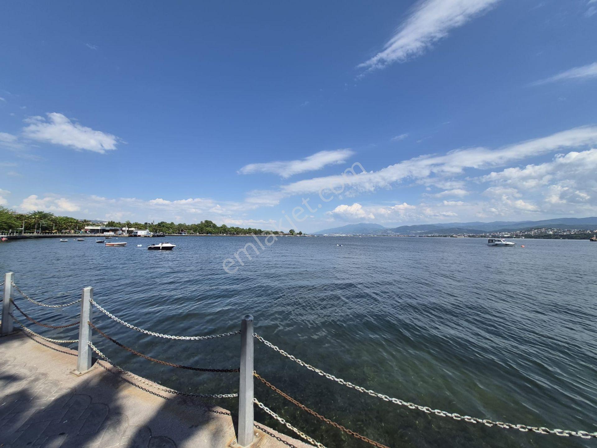 Goldhouse Dan Devren Kiralık Sahil Kenarı Restorant - Görsel 3