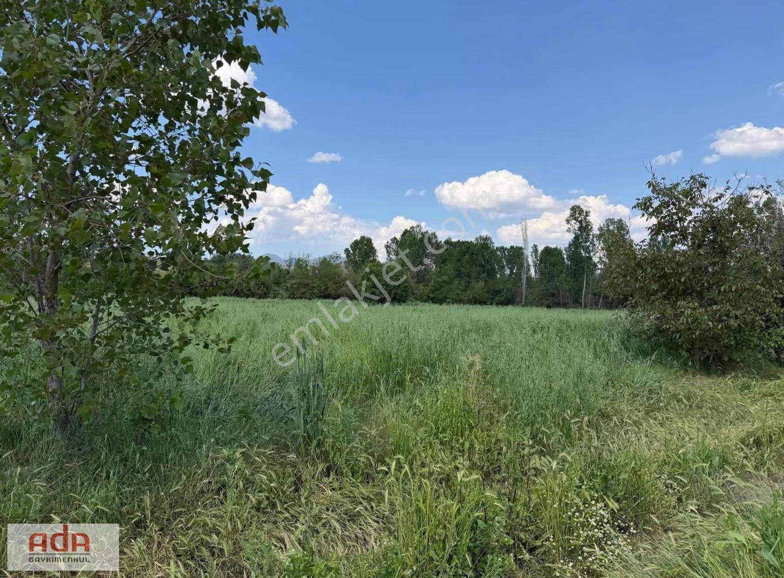 Taraklı,ya 10 Km,göynük'e 20 Km Geyveye 38 Km Mesafede 7.950 M²