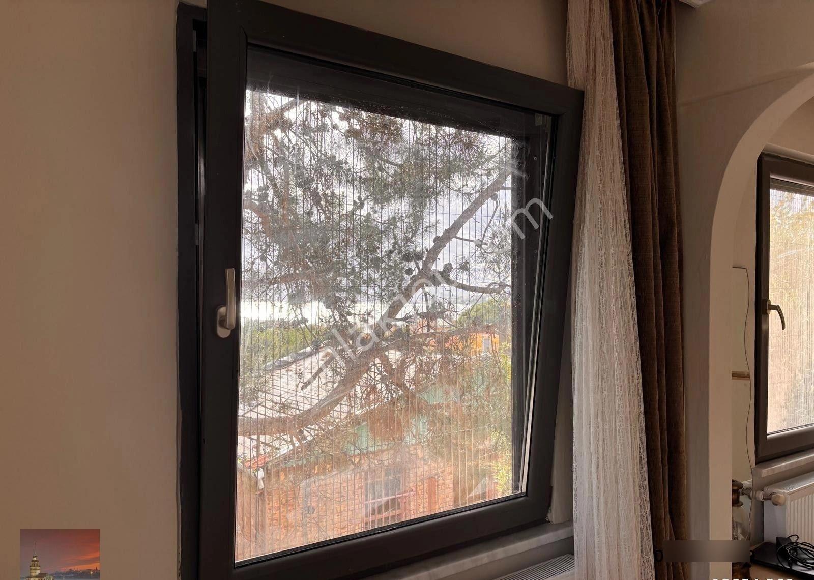 Heybeliada Kapanmaz Deniz Ve Doğa Manzaralı Yazlık Kiralık Dubleks Daire - Görsel 10