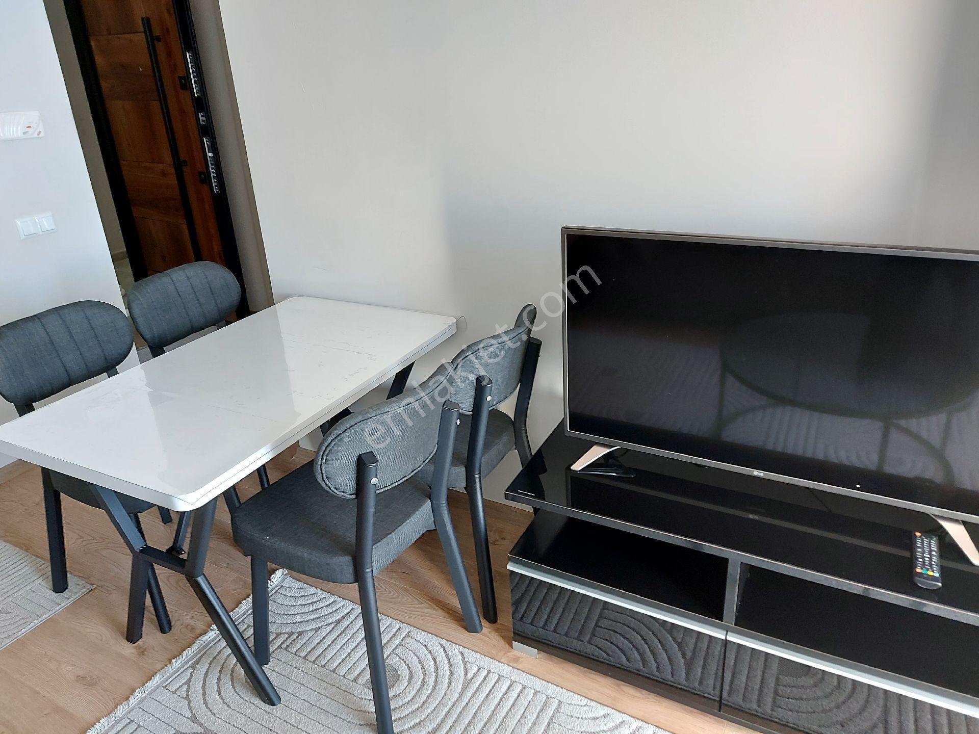 Deniz Manzaralı Ordu Eşyalı 1+1 Kiralık Daire Yeni Şehir Hastaneye Yakın - Görsel 11