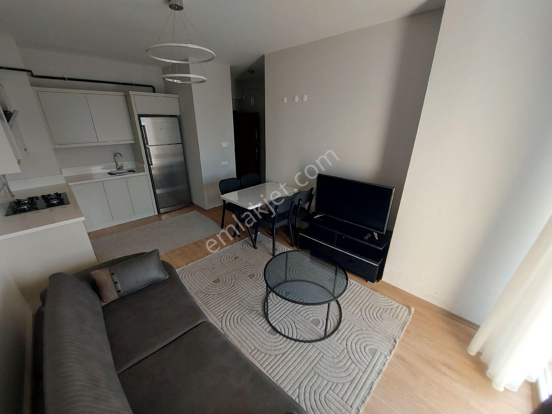 Deniz Manzaralı Ordu Eşyalı 1+1 Kiralık Daire Yeni Şehir Hastaneye Yakın - Görsel 10
