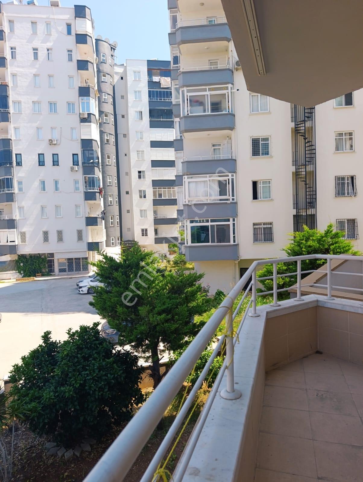 **nova** Amerikan Mutfak Full Yapılı Masrafsız 3+1 Satılık Daire - Görsel 17