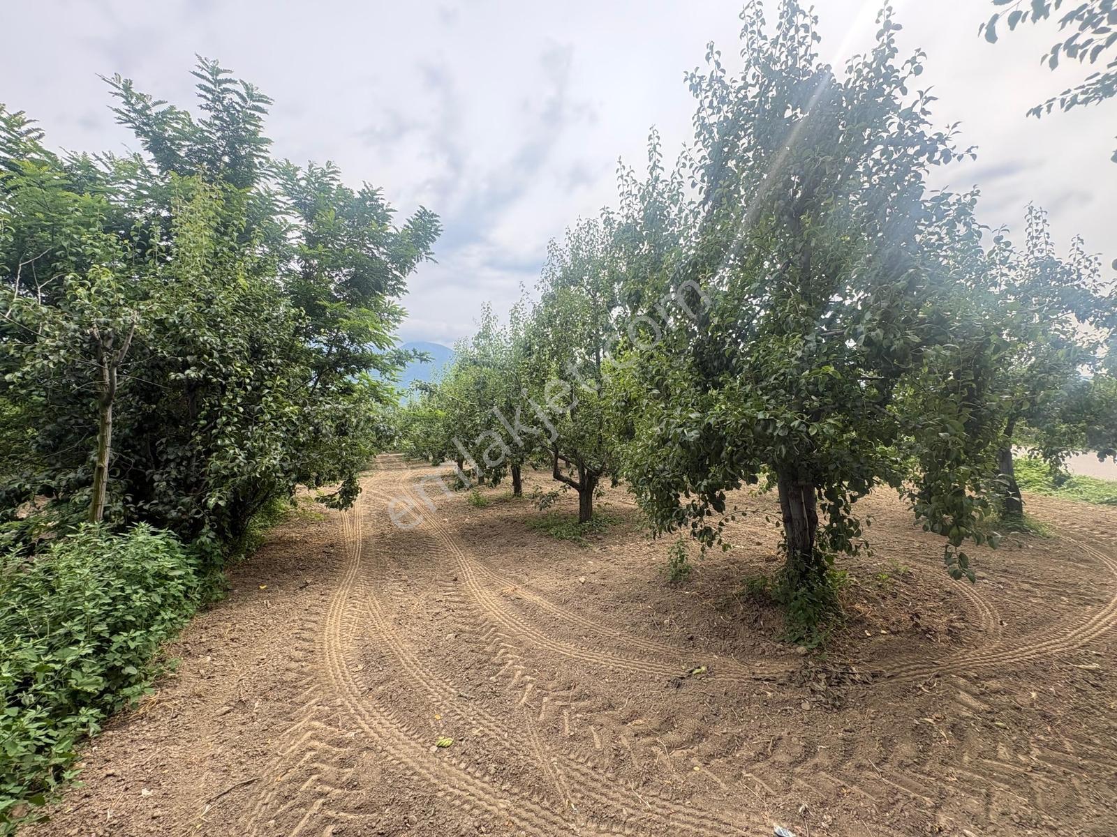 Profasor *dan Yıldırım Vakıf 'ta Yola Cephe 5762m2 Satılık Tarla - Görsel 23