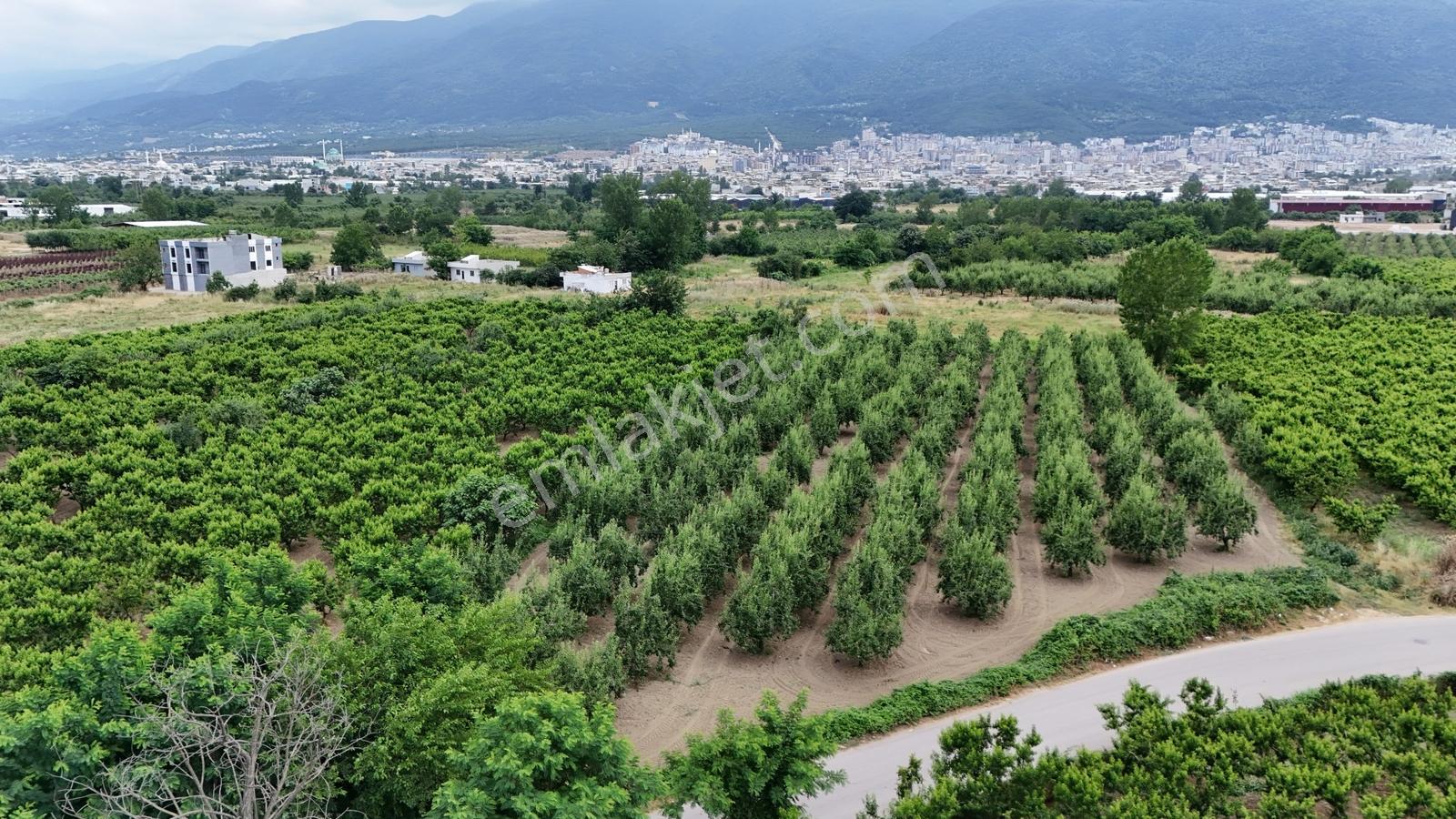 Profasor *dan Yıldırım Vakıf 'ta Yola Cephe 5762m2 Satılık Tarla - Görsel 25