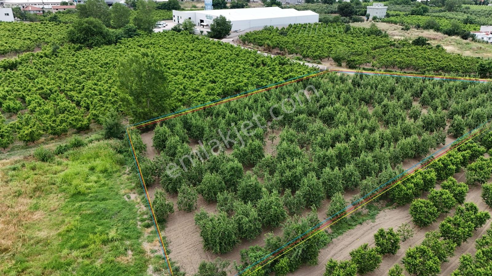 Profasor *dan Yıldırım Vakıf 'ta Yola Cephe 5762m2 Satılık Tarla - Görsel 3