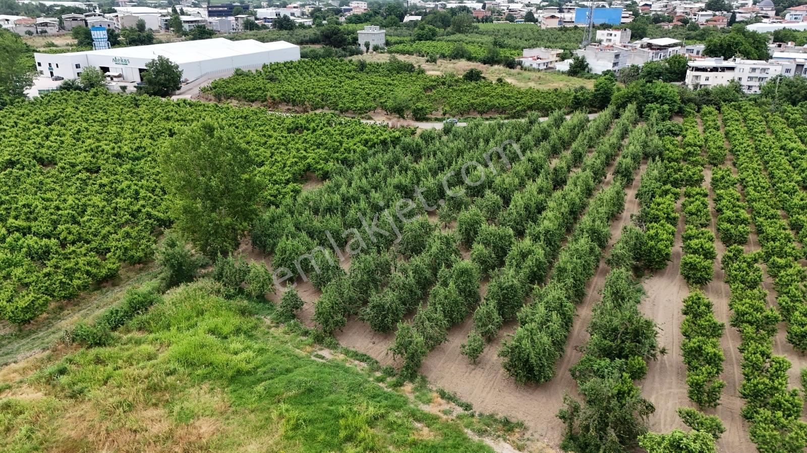 Profasor *dan Yıldırım Vakıf 'ta Yola Cephe 5762m2 Satılık Tarla - Görsel 5