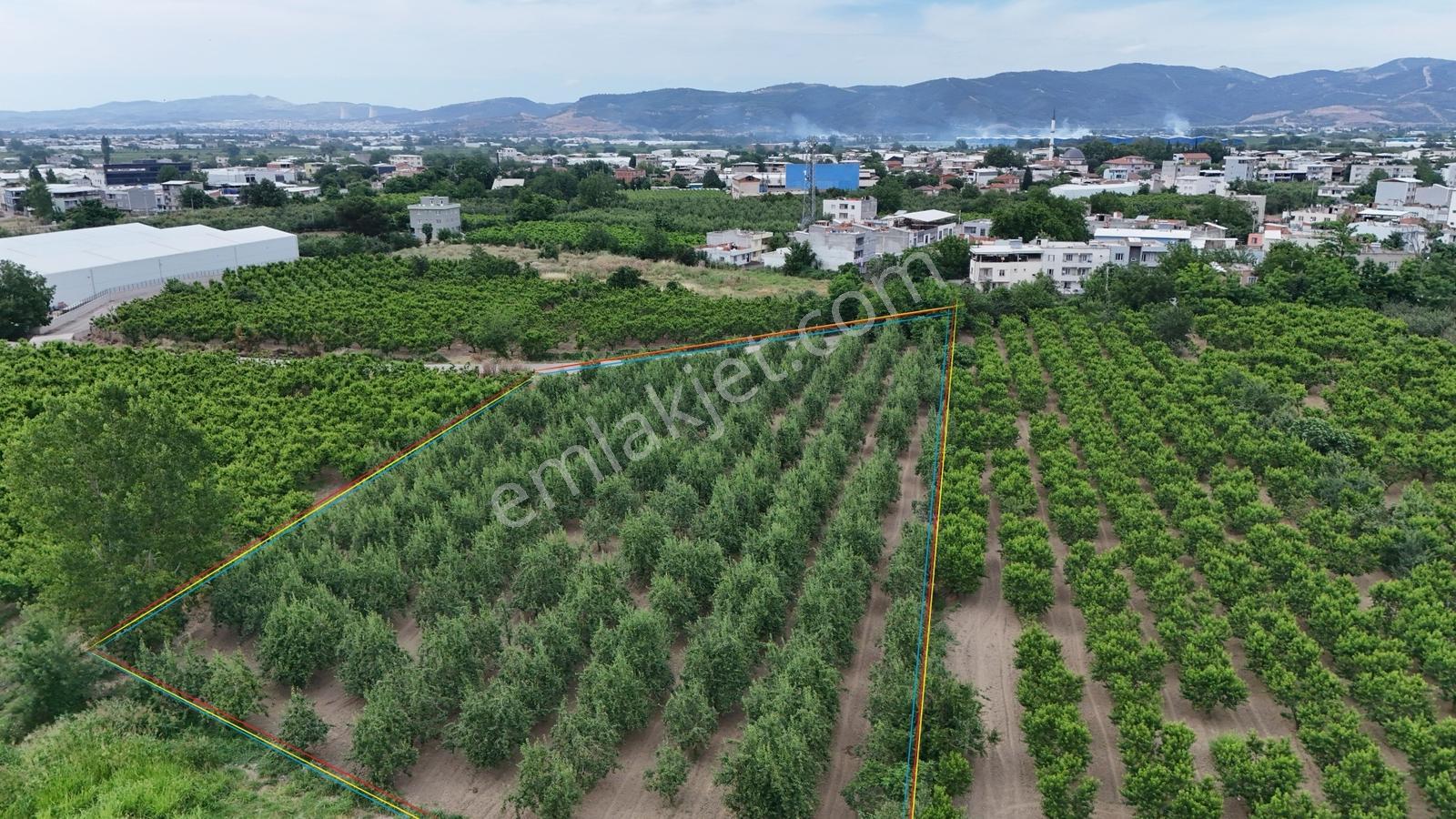 Profasor *dan Yıldırım Vakıf 'ta Yola Cephe 5762m2 Satılık Tarla - Görsel 20