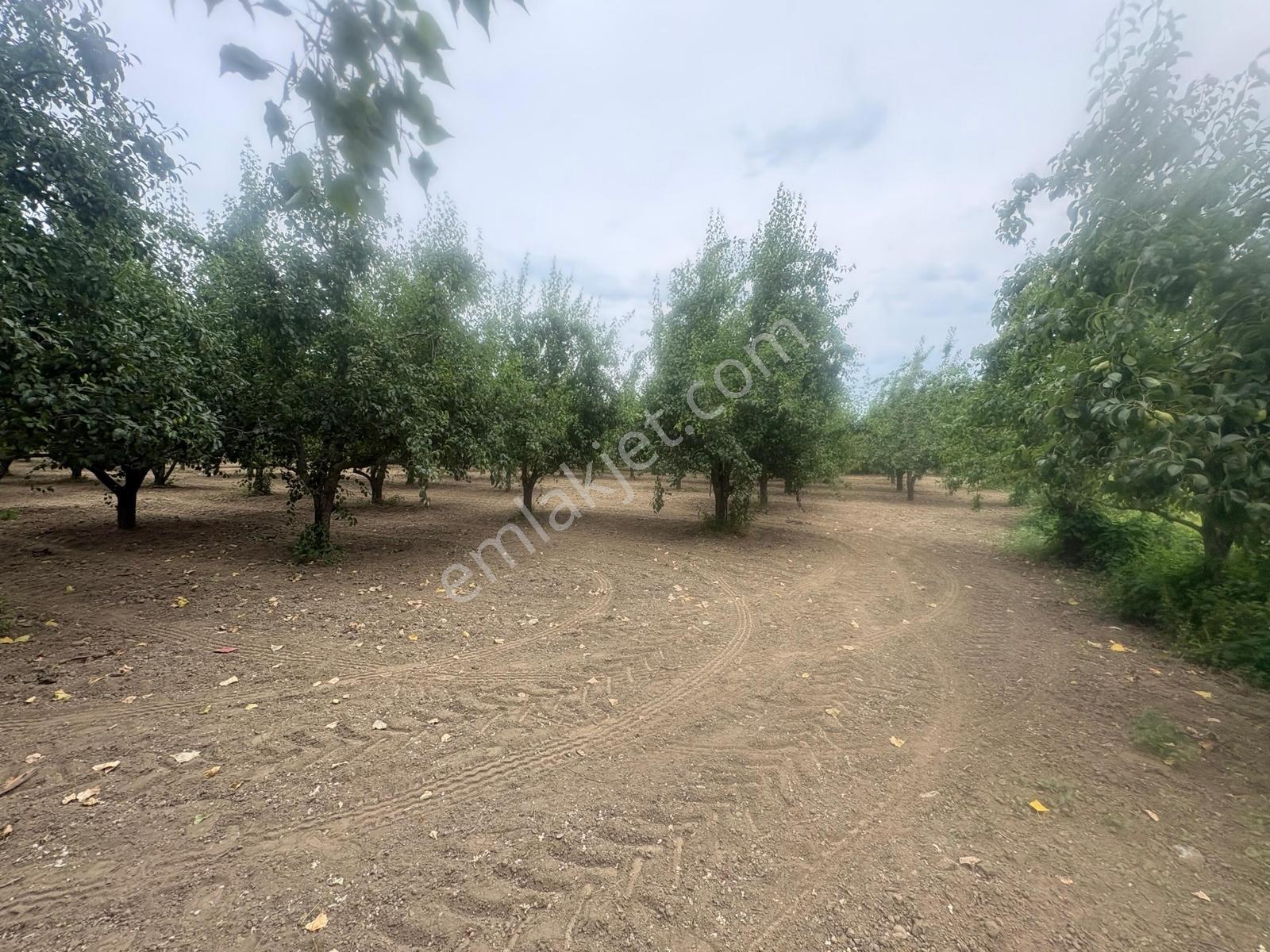 Profasor *dan Yıldırım Vakıf 'ta Yola Cephe 5762m2 Satılık Tarla - Görsel 14