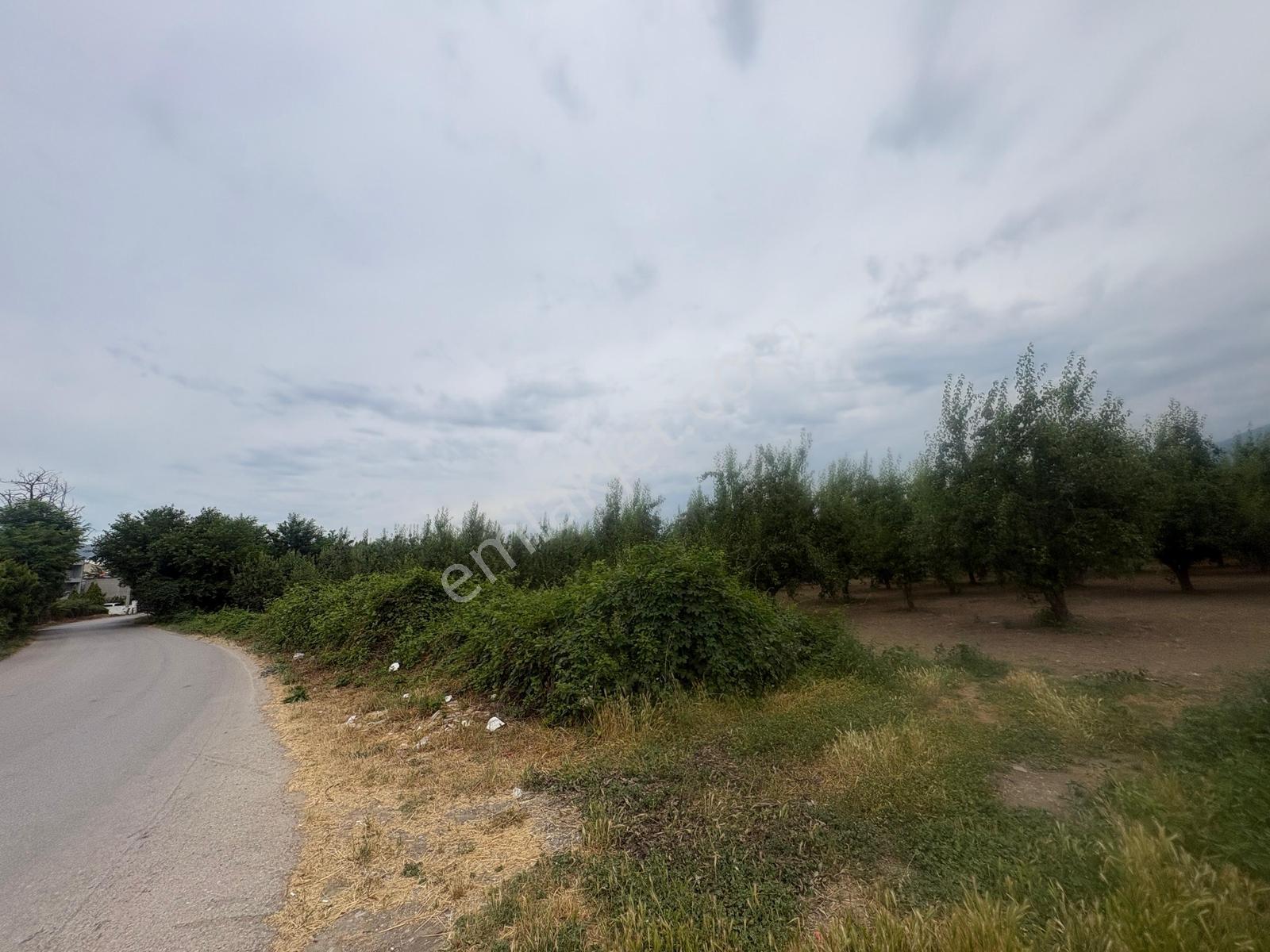 Profasor *dan Yıldırım Vakıf 'ta Yola Cephe 5762m2 Satılık Tarla - Görsel 31