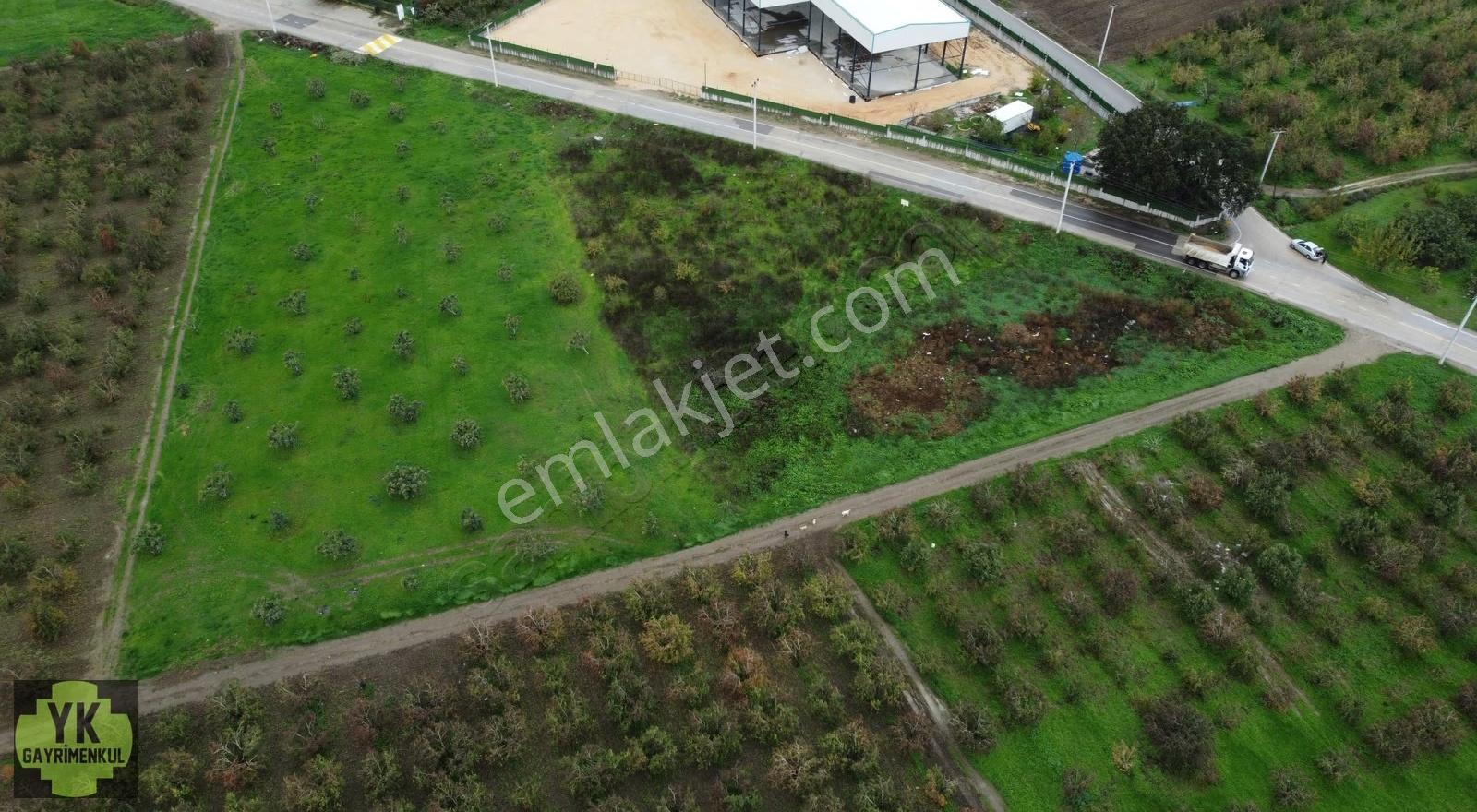 Kiralık Tarla 4340 M² 125 M Nilüfer Köy Ahmetbey Yoluna Cephe - Görsel 2