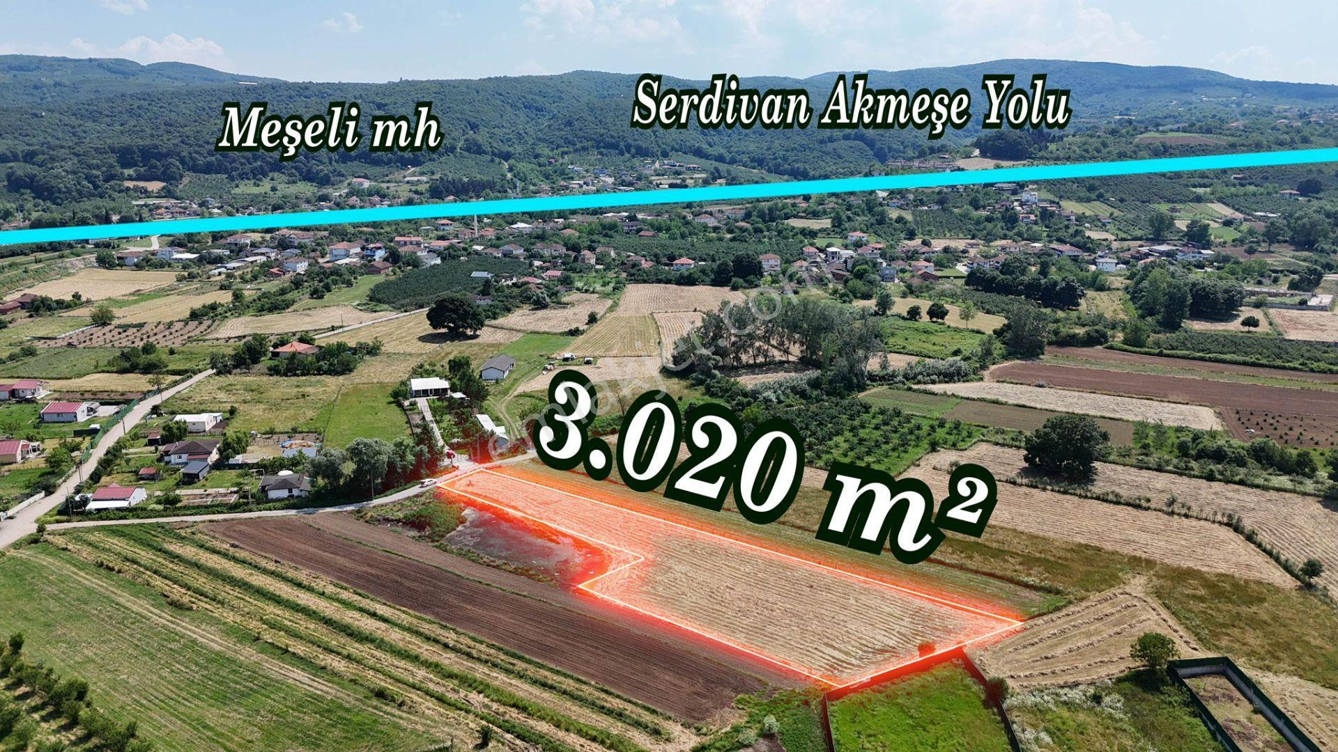 Remax Mavi'den Adapazarı Mahmudiye'de 3020 M2 Satılık Tarla - Görsel 3