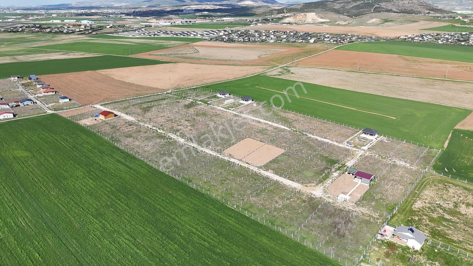Yağlıpınar Da 485m2 Kooperatif Hisseli Hobi Bahçesi Karadeniz Em - Görsel 7