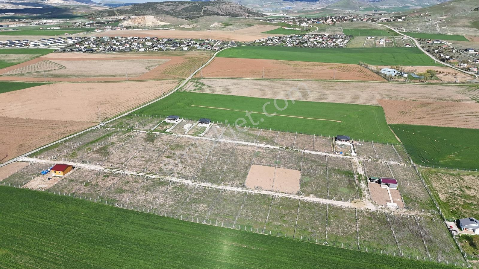 Yağlıpınar Da 485m2 Kooperatif Hisseli Hobi Bahçesi Karadeniz Em