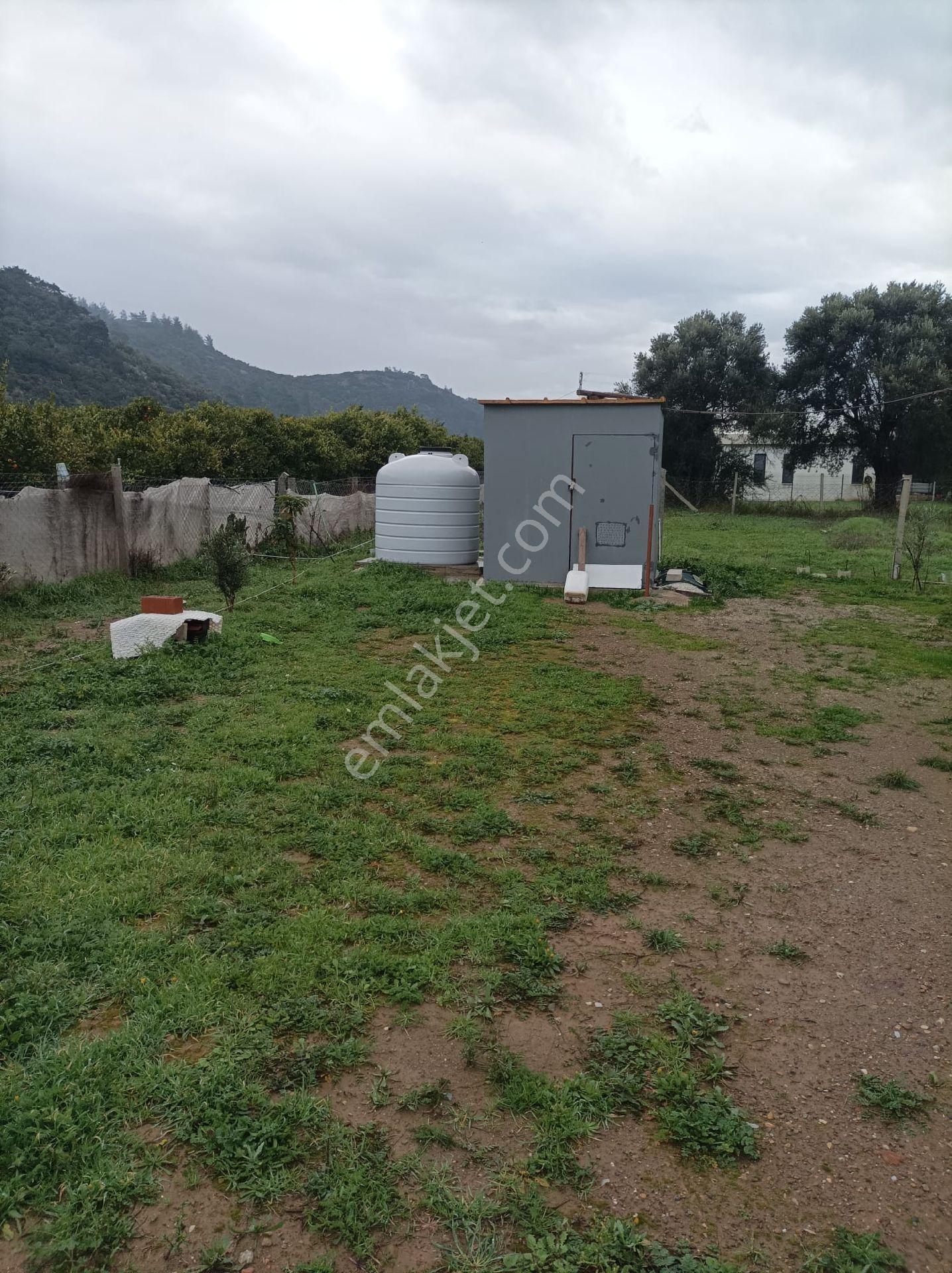 Menderes Ahmetbeyli Müstakil Ev Olan 450 M2 Tarla Satılıktır - Görsel 6