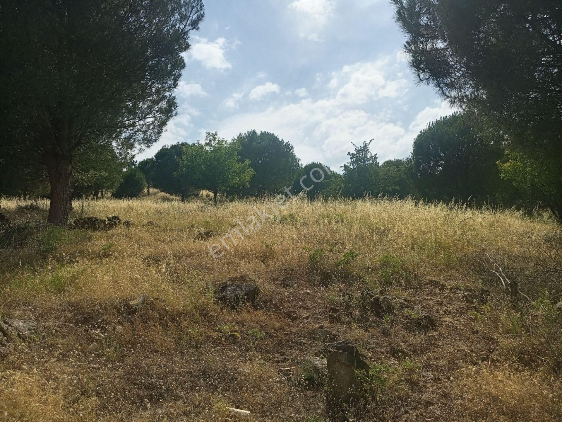 Bayındır Furunlu Köyü, Konut Yapımına Uygun, Tek Tapu, Yolu Olan 4.440m2 Arsamız Satılık - Görsel 4