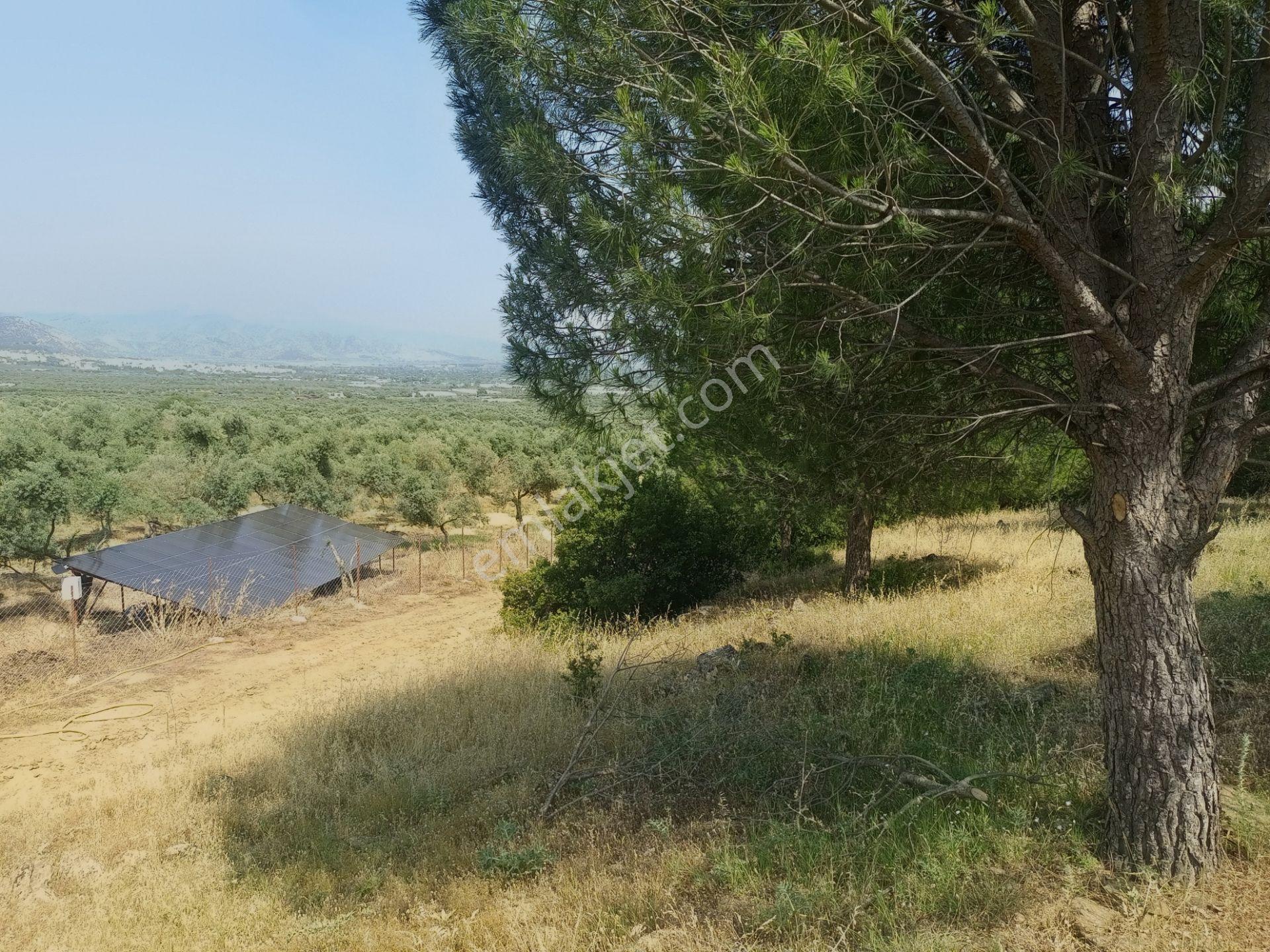Bayındır Furunlu Köyü, Konut Yapımına Uygun, Tek Tapu, Yolu Olan 4.440m2 Arsamız Satılık - Görsel 8