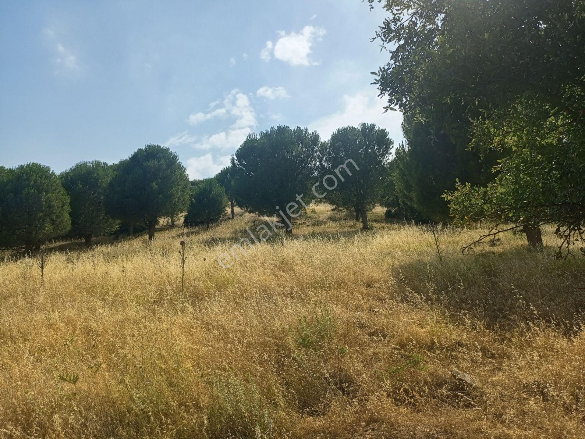 Bayındır Furunlu Köyü, Konut Yapımına Uygun, Tek Tapu, Yolu Olan 4.440m2 Arsamız Satılık - Görsel 16