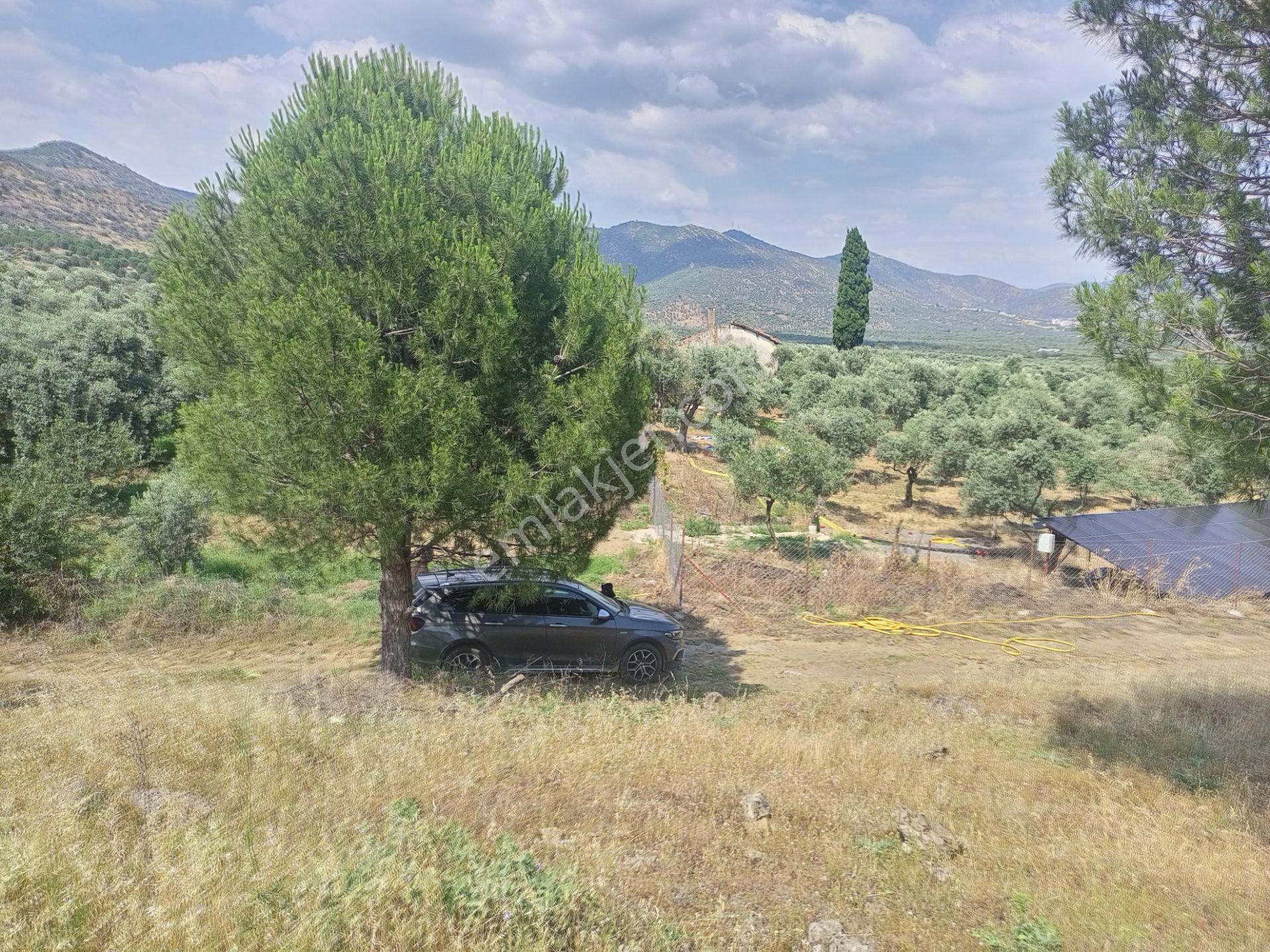 Bayındır Furunlu Köyü, Konut Yapımına Uygun, Tek Tapu, Yolu Olan 4.440m2 Arsamız Satılık - Görsel 9