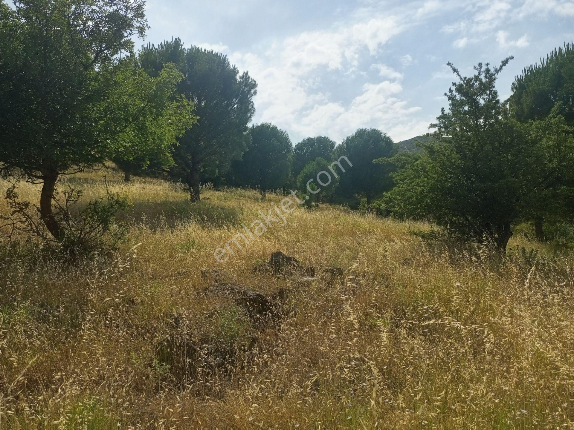 Bayındır Furunlu Köyü, Konut Yapımına Uygun, Tek Tapu, Yolu Olan 4.440m2 Arsamız Satılık - Görsel 12