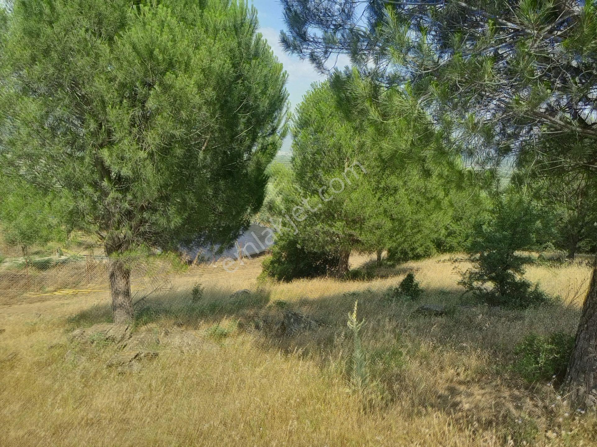 Bayındır Furunlu Köyü, Konut Yapımına Uygun, Tek Tapu, Yolu Olan 4.440m2 Arsamız Satılık - Görsel 18