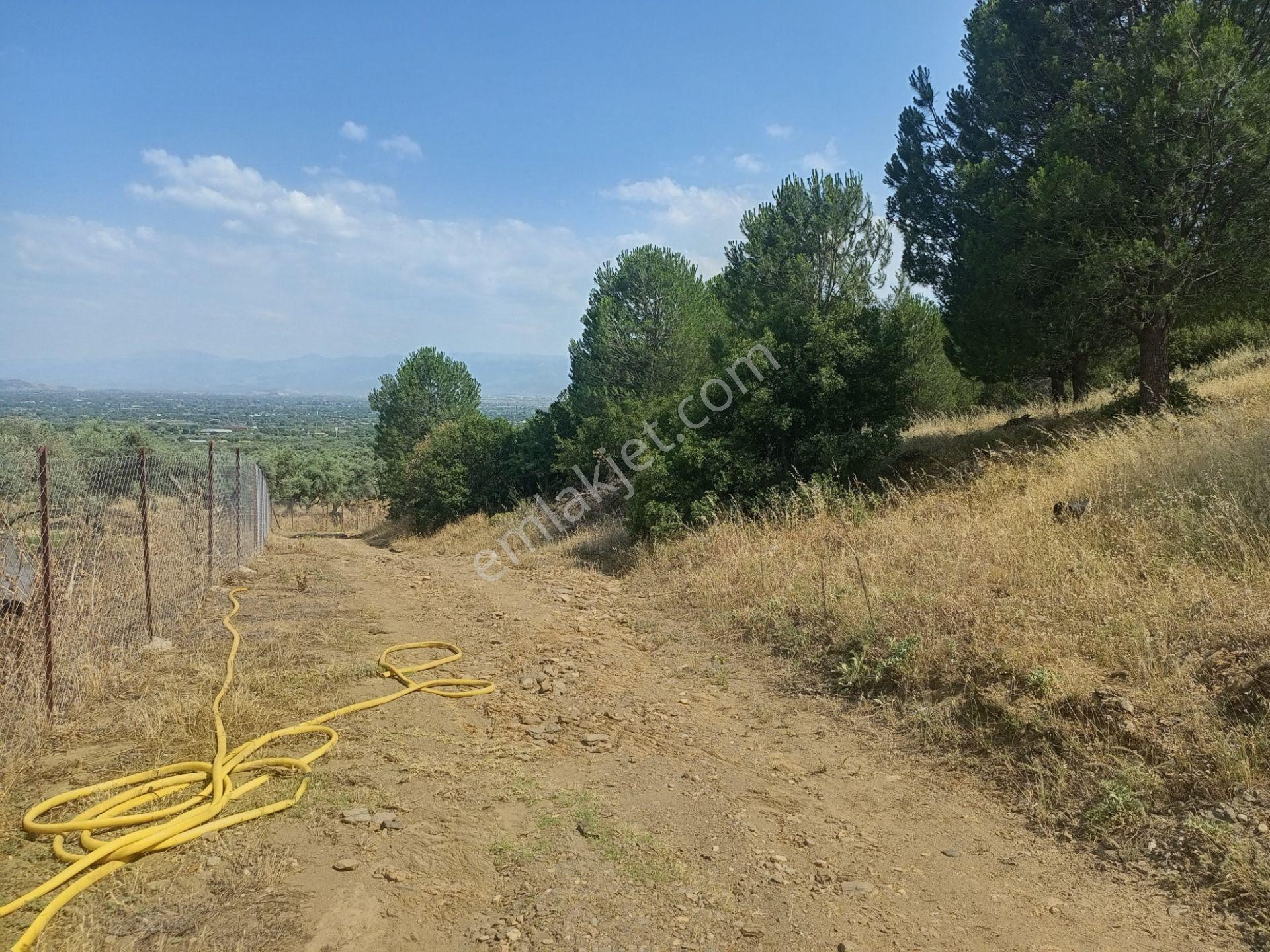 Bayındır Furunlu Köyü, Konut Yapımına Uygun, Tek Tapu, Yolu Olan 4.440m2 Arsamız Satılık