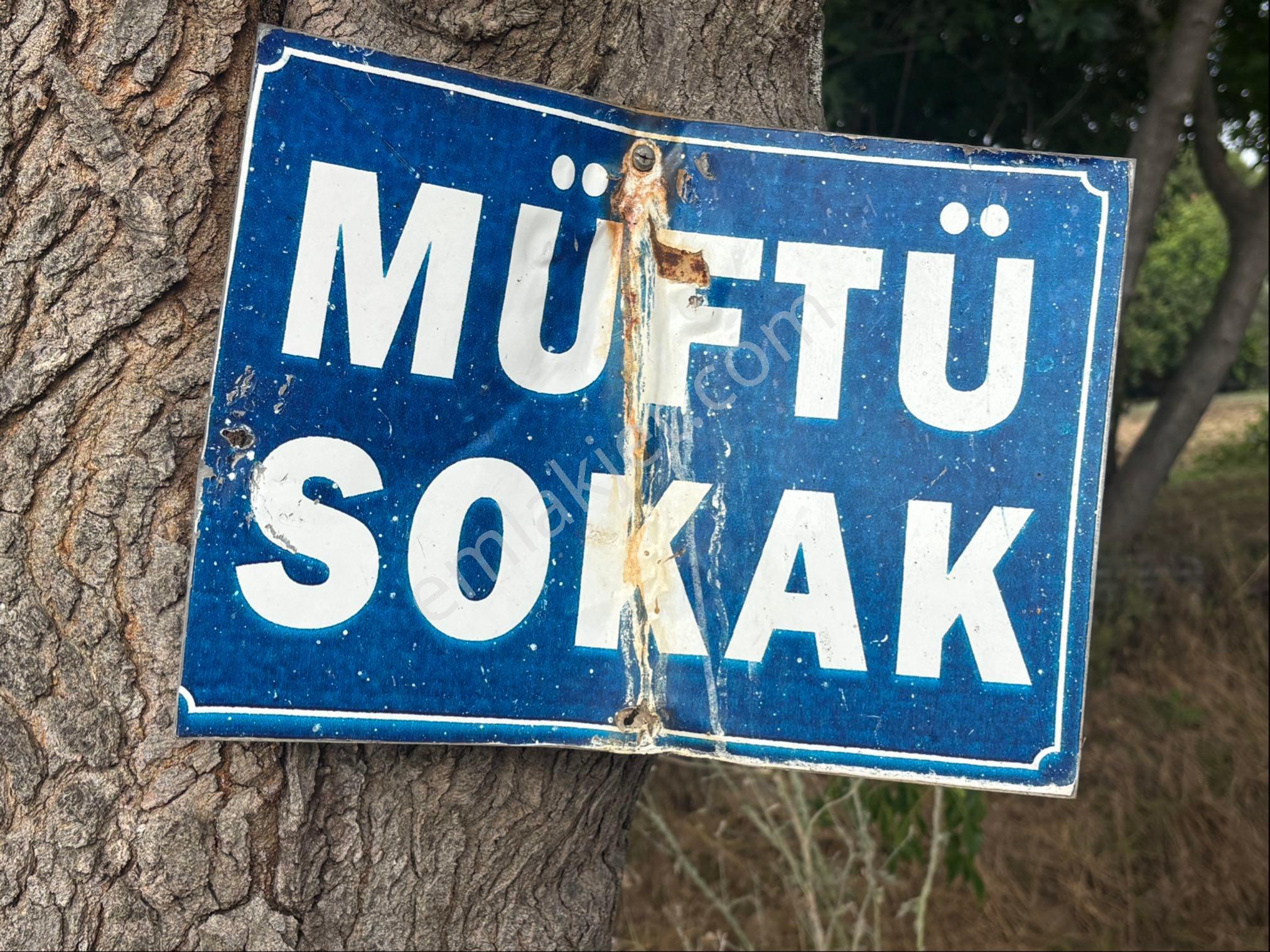 Atatürk Mahallesi Müftü Sokakta Satılık 2917 M² Bağ - Görsel 17