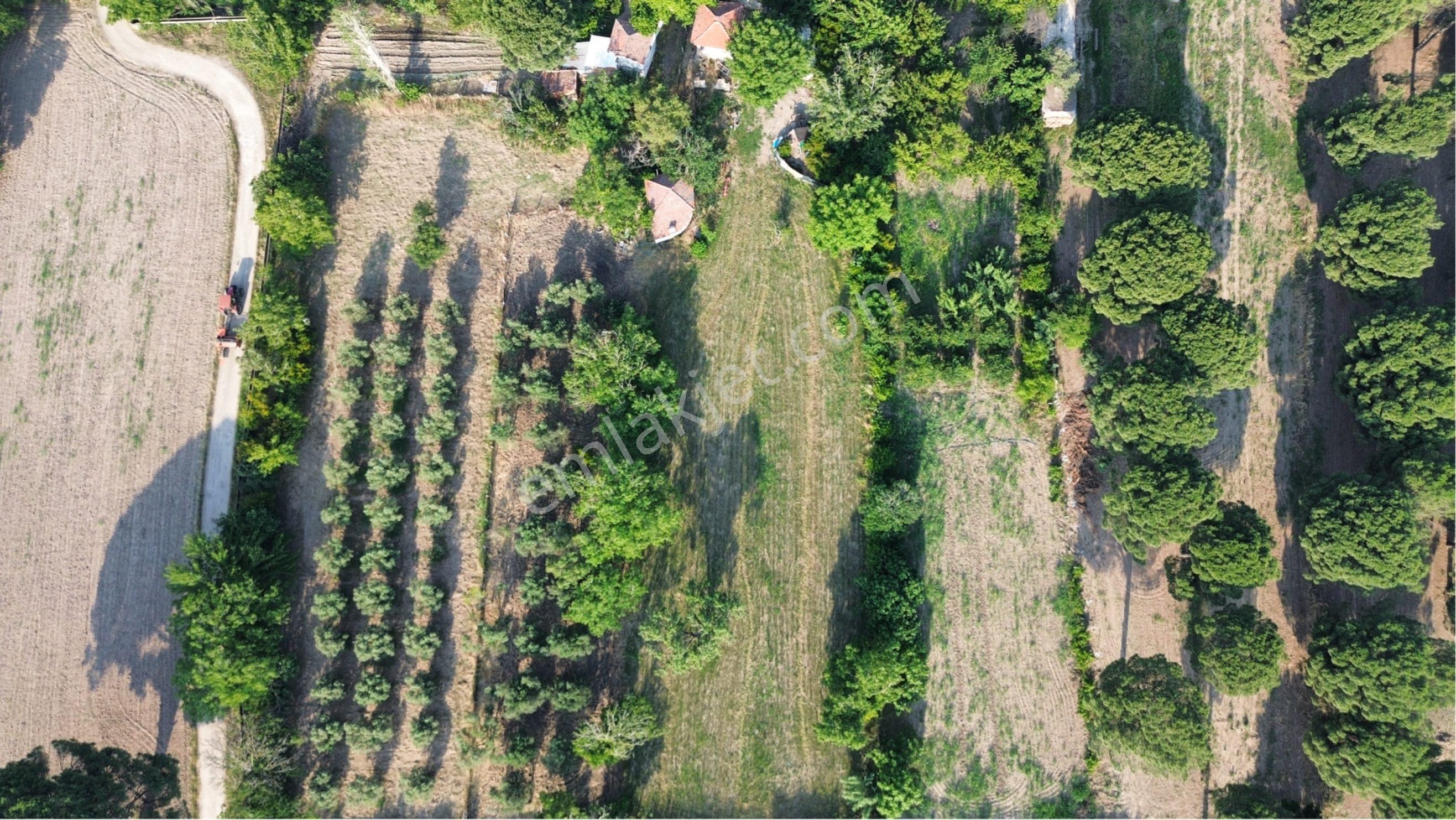 Atatürk Mahallesi Müftü Sokakta Satılık 2917 M² Bağ - Görsel 4