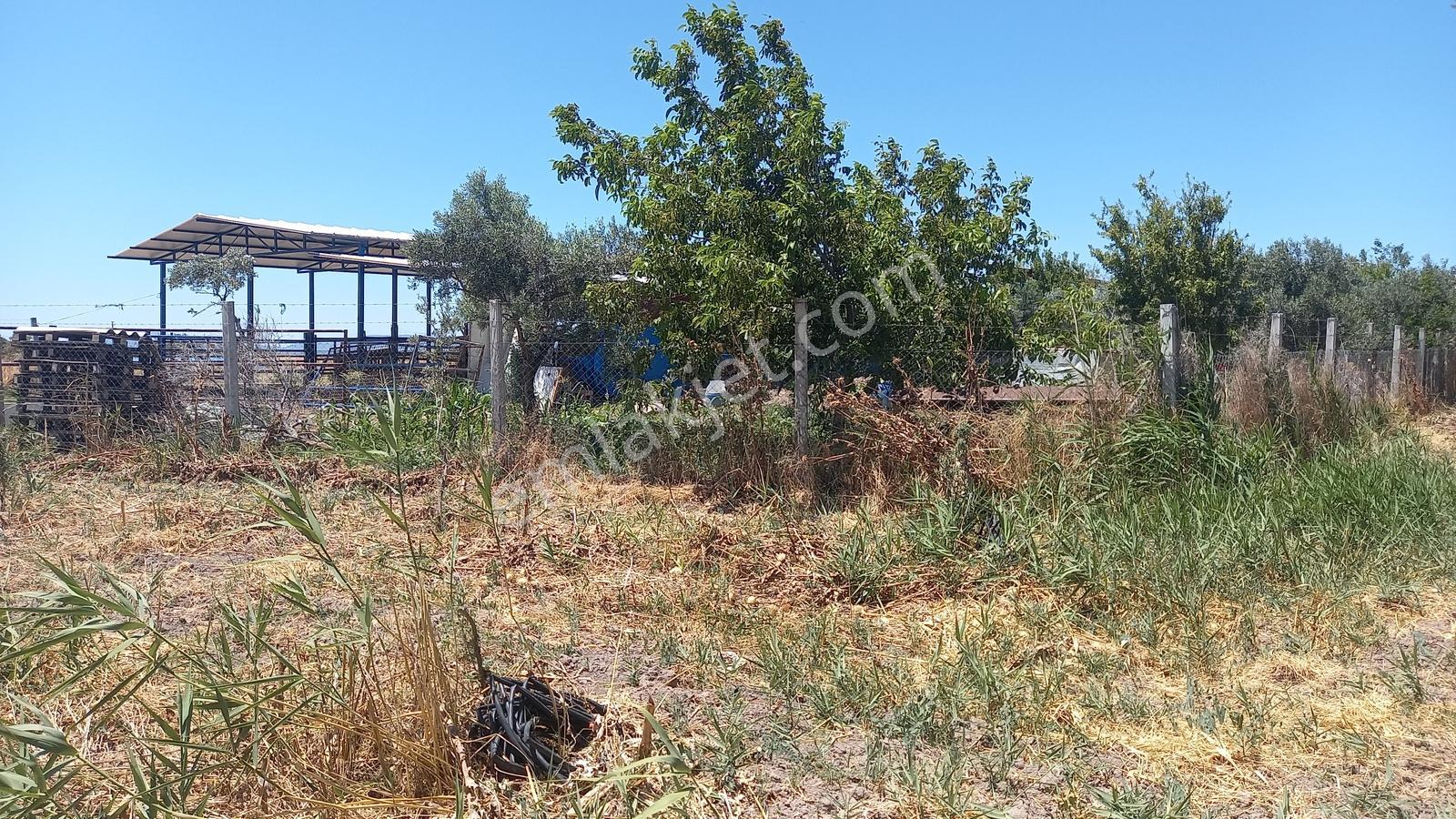 Ermiş Emlaktan Dayıoğlunda Satılık Hobi Bahçesi - Görsel 29