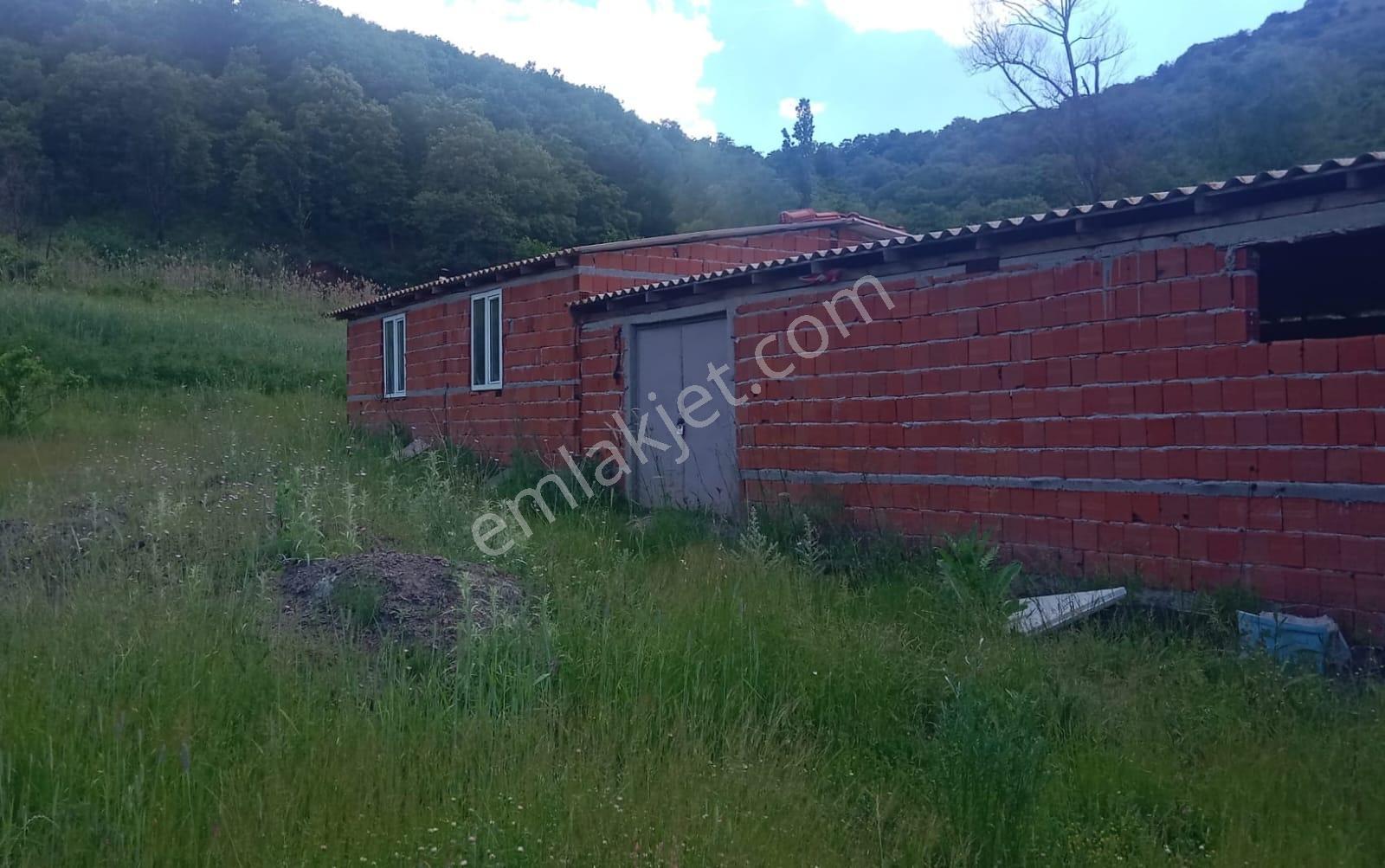 Sındırgı Işıklarda Satılık Çiftlik Ve Arazisi - Görsel 4