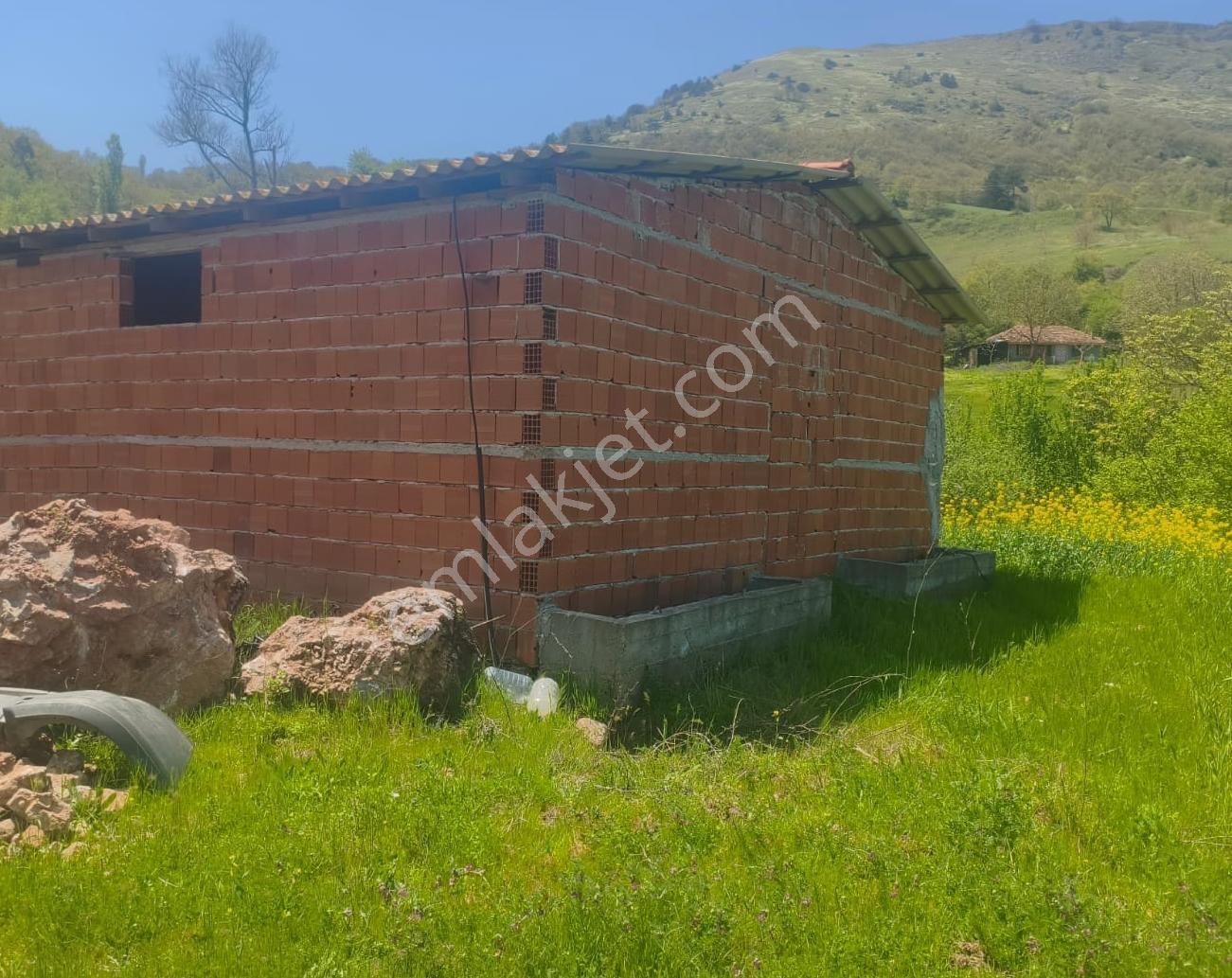 Sındırgı Işıklarda Satılık Çiftlik Ve Arazisi - Görsel 12